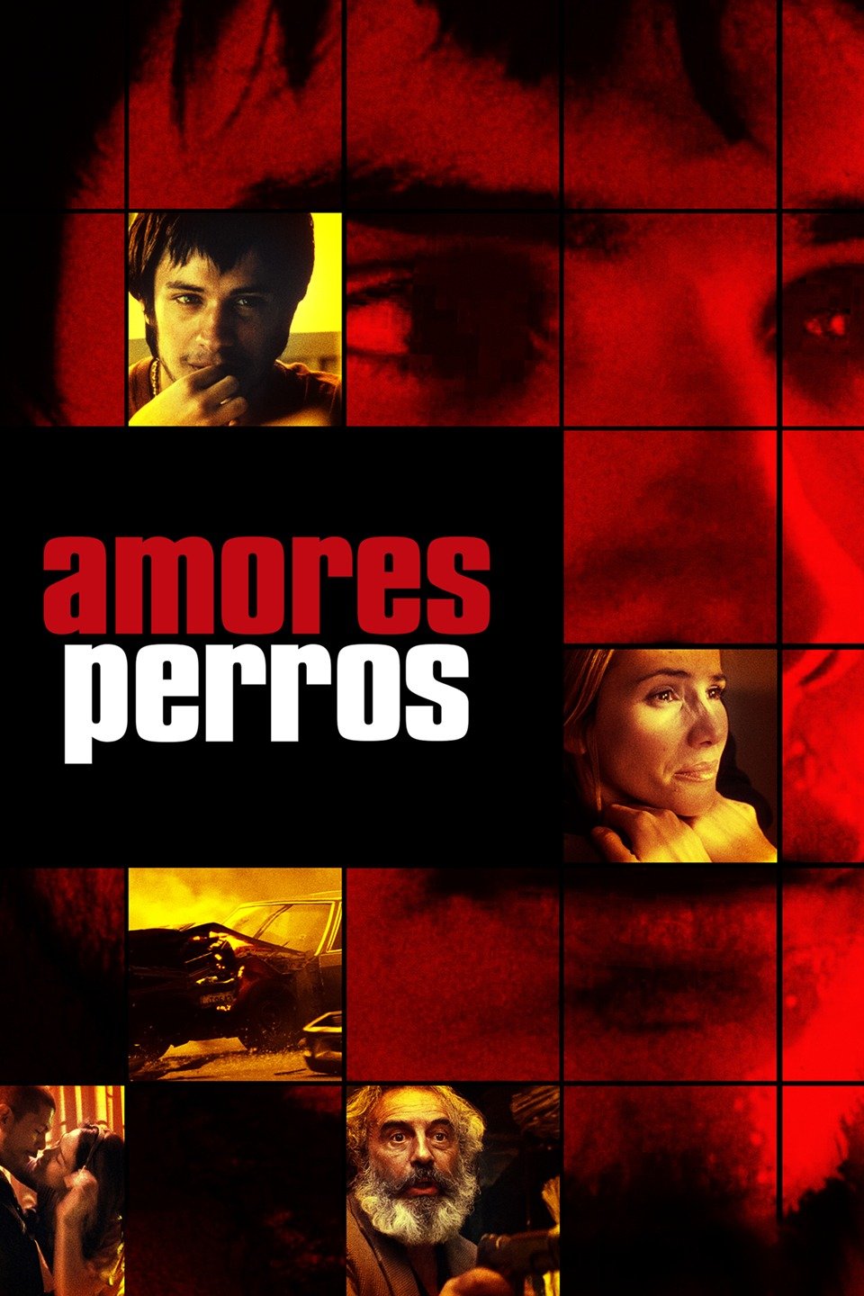 Amores perros